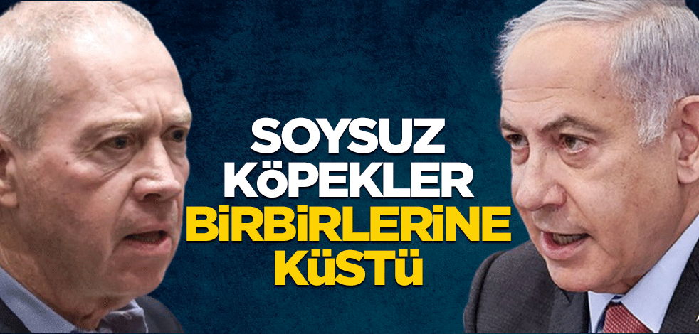 Soysuz köpekler birbirlerine küstü