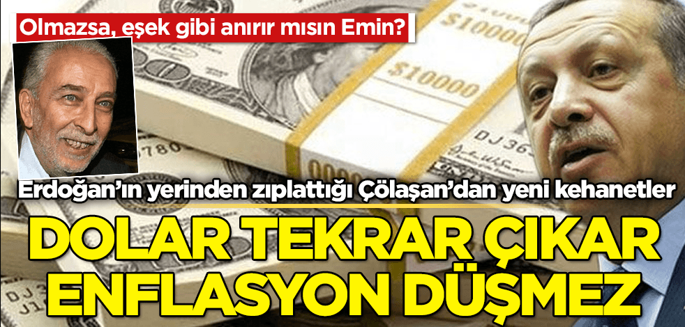 Dolar fırlamazsa, eşek gibi anırır mısın, Emin!