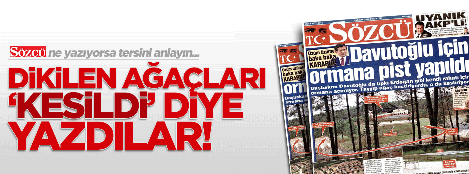 Sözcü dikilen ağaçları 'kesildi' diye yazmış!