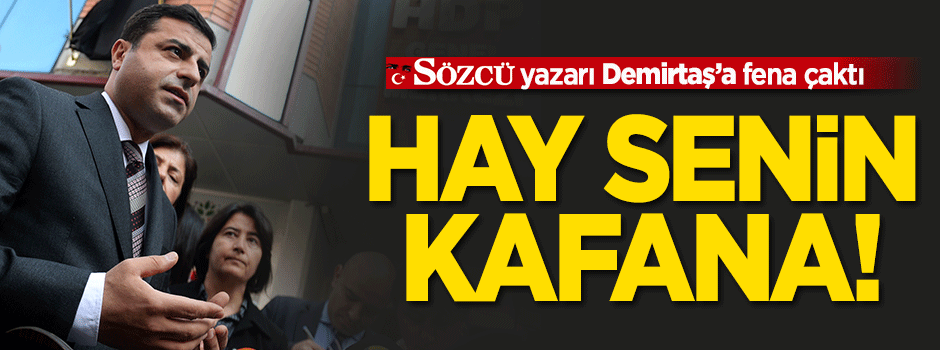 Sözcü yazarı Demirtaş’a çaktı: Hay senin kafana!