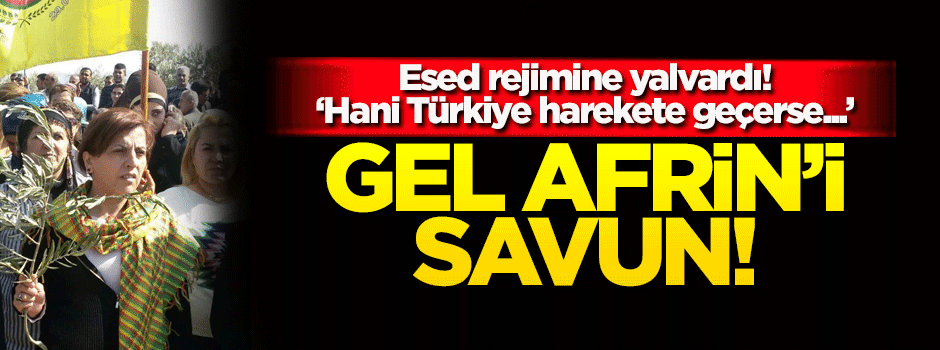 Sözde Afrin Kantonu lideri Esed rejimine 'bizi kurtarın' çağrısı yaptı