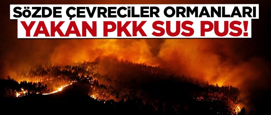 Sözde çevreciler ormanları yakan PKK'ya sus pus!