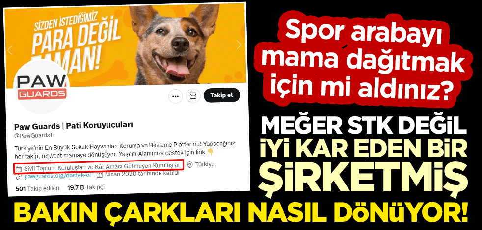 Sözde 'hayvansever'ler dolandırıcılıktan sabıkalı çıktı! MASAK göreve