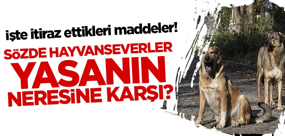 Sözde hayvanseverler yasanın neresine karşı? İşte o maddeler
