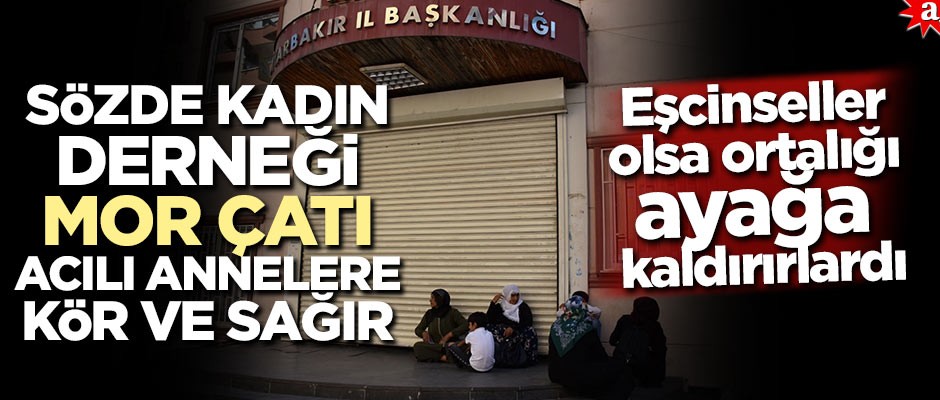 Sözde kadın derneği Mor Çatı acılı annelere kör ve sağır!