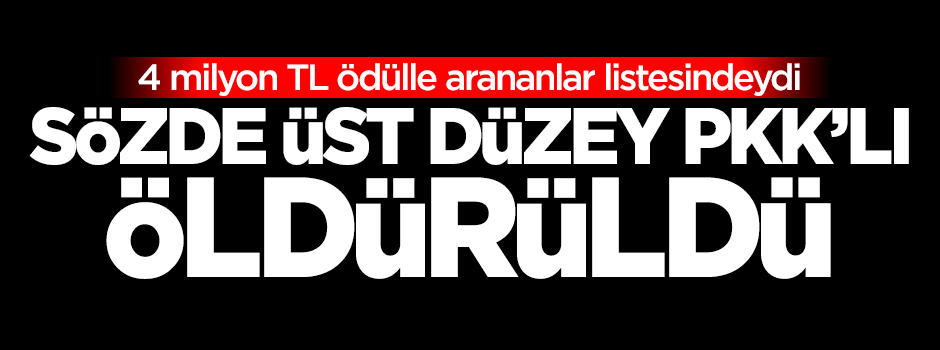 Sözde üst düzey PKK'lı Ekrem Güney öldürüldü