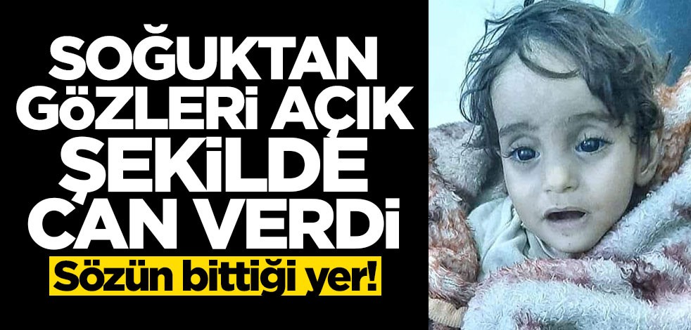 Sözün bittiği yer! Soğuktan gözleri açık şekilde can verdi