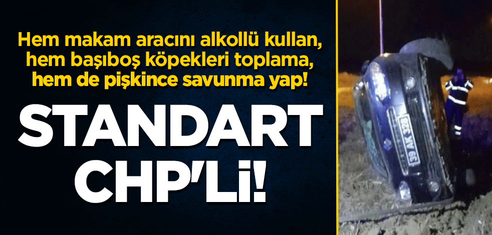 Standart CHP'li! Hem makam aracını alkollü kullan, hem başıboş köpekleri toplama, hem de pişkince savunma yap!