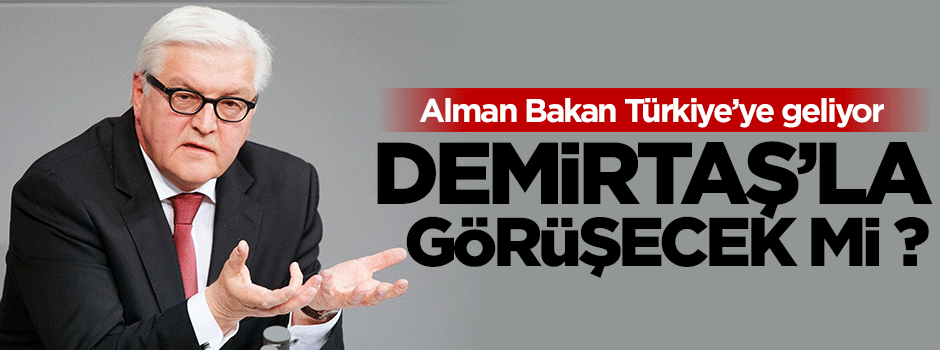 Steinmer Demirtaş'ı ziyaret edecek mi?