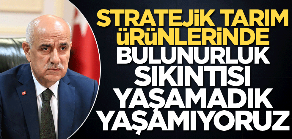 'Stratejik tarım ürünlerinde bulunurluk sıkıntısı yaşamadık, yaşamıyoruz'
