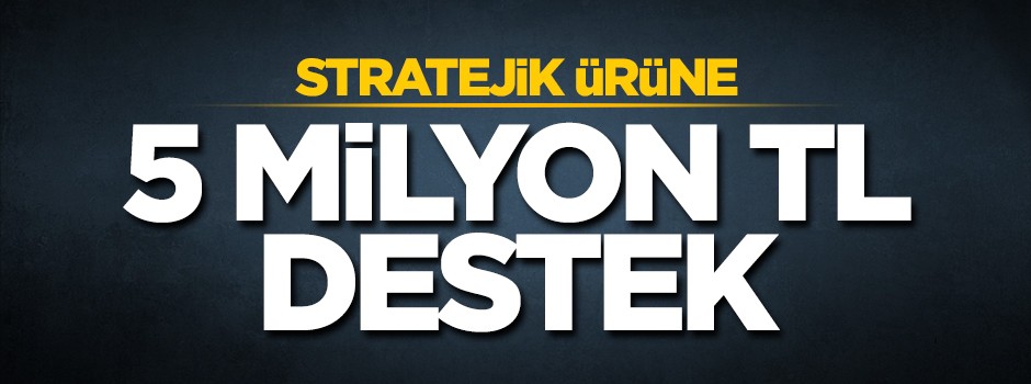 Stratejik ürüne 5 milyon liralık destek