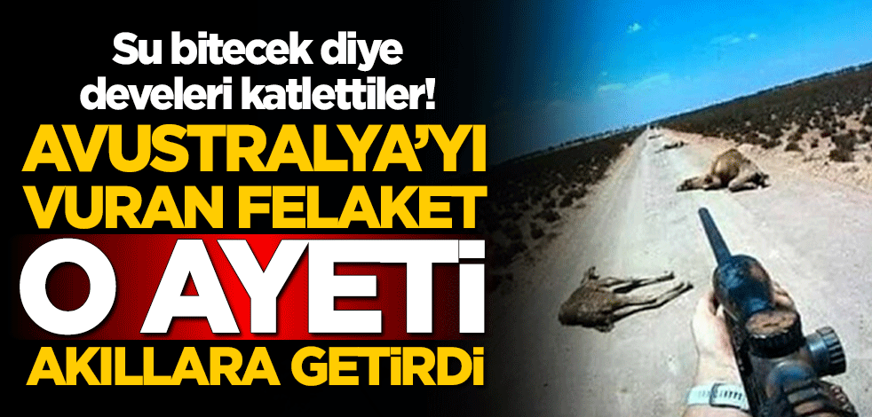 Su bitecek diye develeri katlettiler! Avustralya'yı vuran felaket o ayeti akıllara getirdi