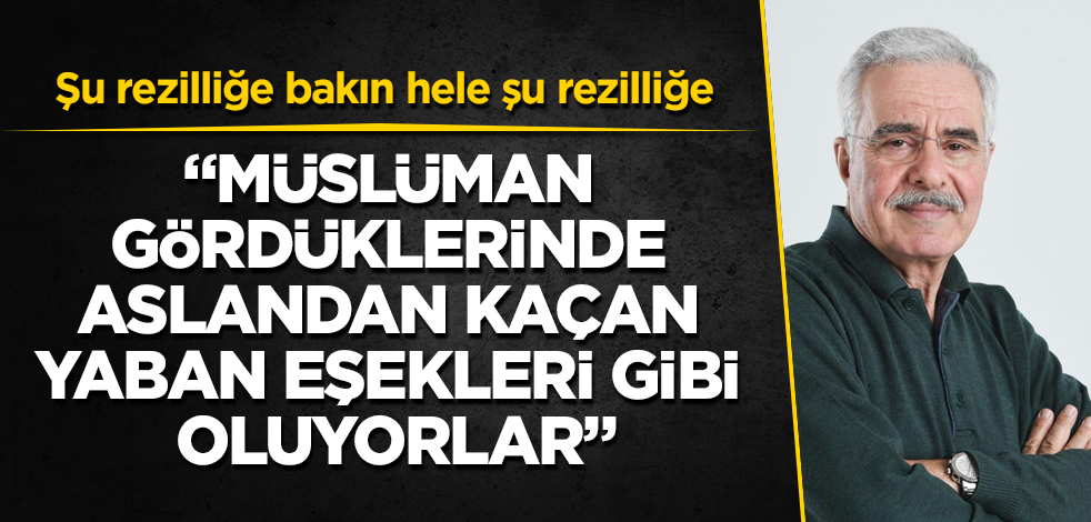 Şu rezilliğe bakın hele şu rezilliğe! Müslüman gördüklerinde aslandan kaçan yaban eşekleri gibi oluyorlar