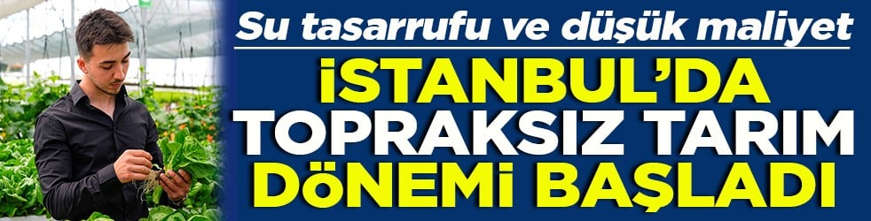 Su tasarrufu ve düşük maliyet istanbul’da topraksız tarım dönemi başladı