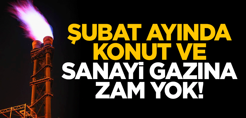Şubat ayında konut ve sanayi gazına zam yapılmayacak