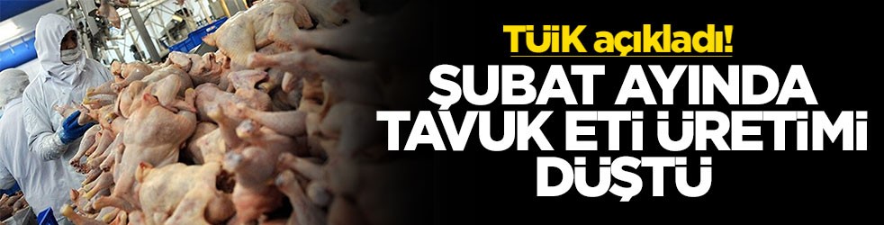 TÜİK açıkladı! Şubat ayında tavuk eti üretimi düştü