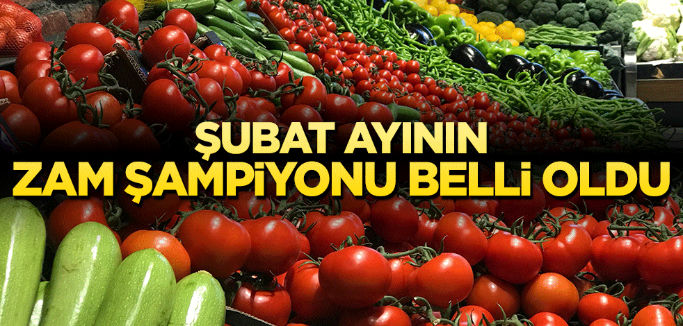 Şubat ayının zam şampiyonu belli oldu