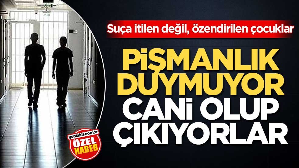 Suça itilen değil, özendirilen çocuklar! Pişmanlık duymuyor cani olup çıkıyorlar