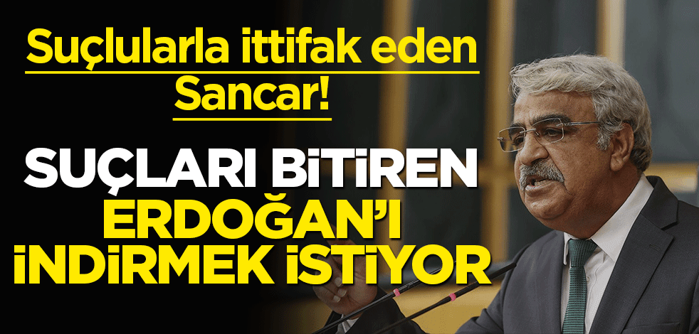 Suçlularla ittifak kuran Sancar, suçları bitiren Erdoğan'ı indirmek istiyor!