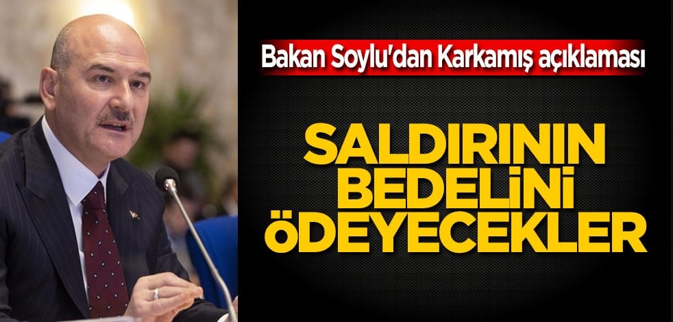 Süleyman Soylu: Bedelini ödeyecekler