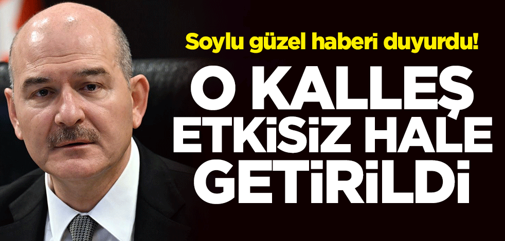 Süleyman Soylu güzel haberi duyurdu! O kalleş etkisiz hale getirildi