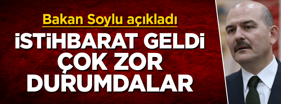 Süleyman Soylu: İstihbarat geldi, çok zor durumdalar