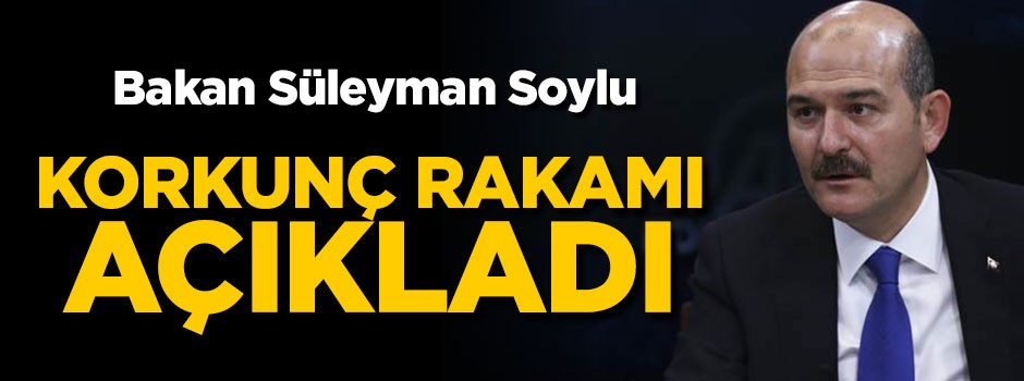 Soylu, PKK'nın uyuşturucu gelirini açıkladı