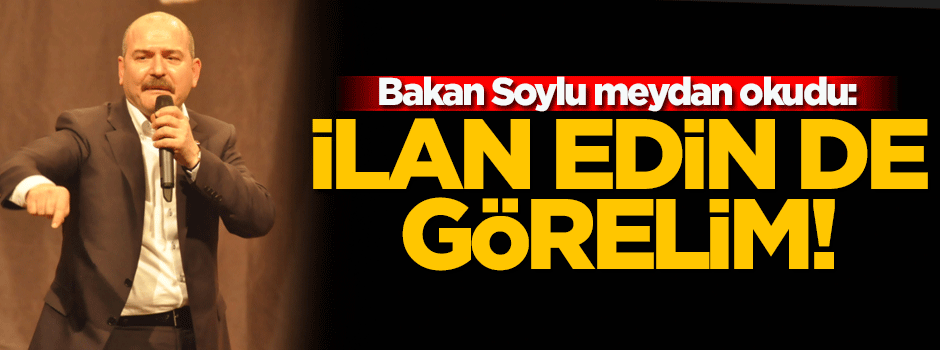 Süleyman Soylu: Özerklik ilan edin de görelim!