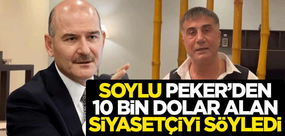 Süleyman Soylu, Sedat Peker'den 10 bin dolar alan siyasetçiyi söyledi