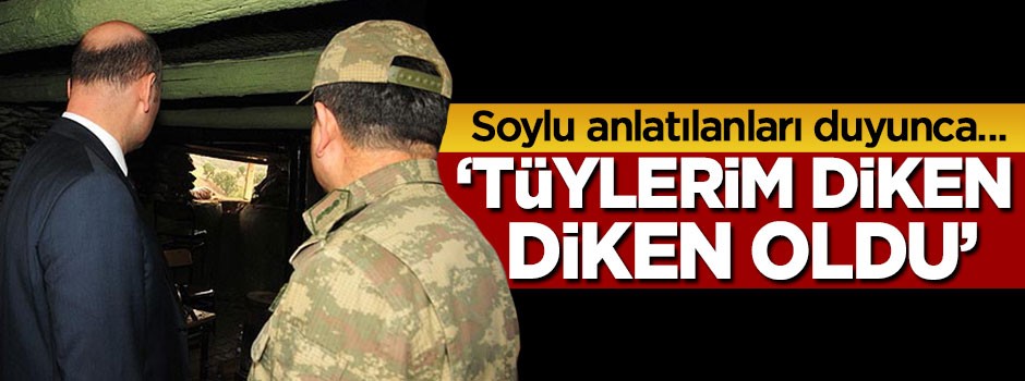 Süleyman Soylu: Tüylerim diken diken oldu