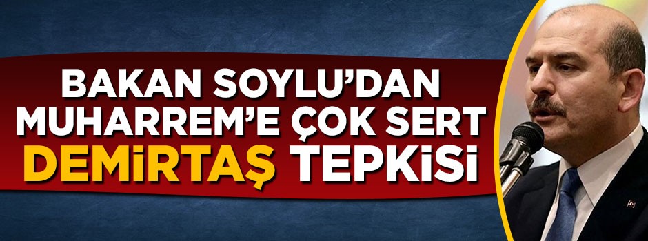 Süleyman Soylu'dan Muharrem İnce'ye çok sert 'Demirtaş' tepkisi