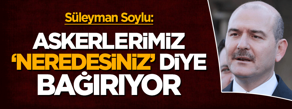 Süleyman Soylu'dan PKK açıklaması: Askerlerimiz 'neredesiniz' diye bağırıyor!