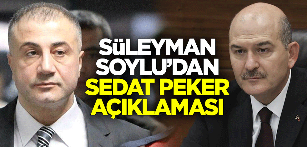 Süleyman Soylu'dan Sedat Peker açıklaması