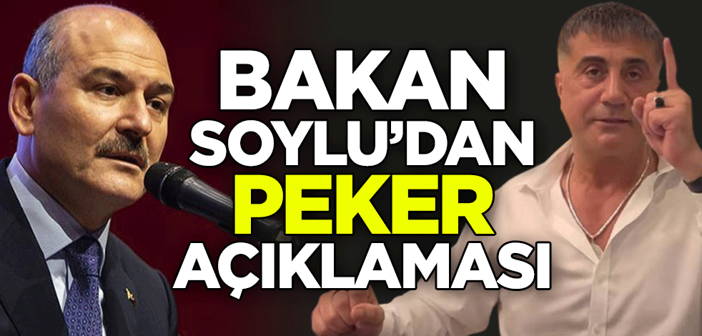 Süleyman Soylu'dan Sedat Peker açıklaması