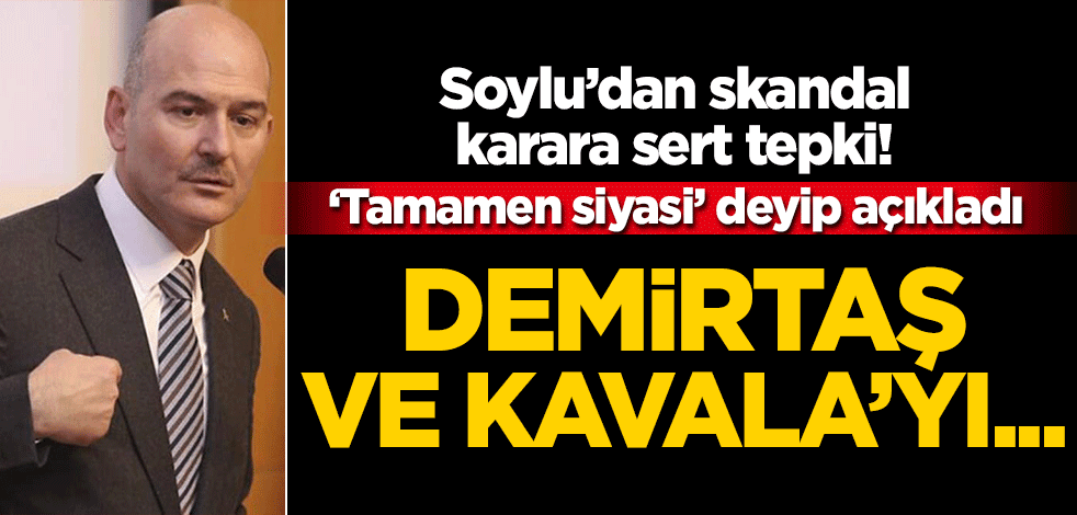 Süleyman Soylu'dan skandal karara tepki: Tamamen siyasi!