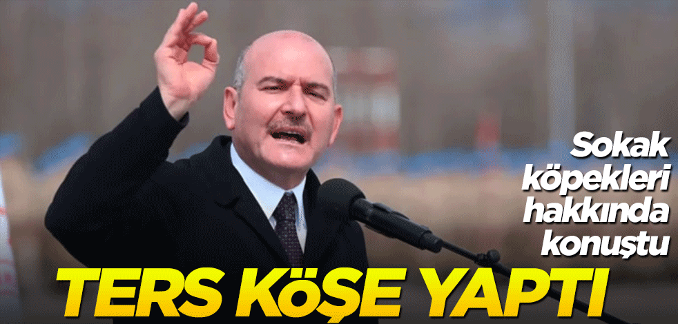 Dezenformasyonla Mücadele Merkezi: Süleyman Soylu’nun sokak hayvanları düzenlemesine karşı çıktığı iddiası doğru değildir