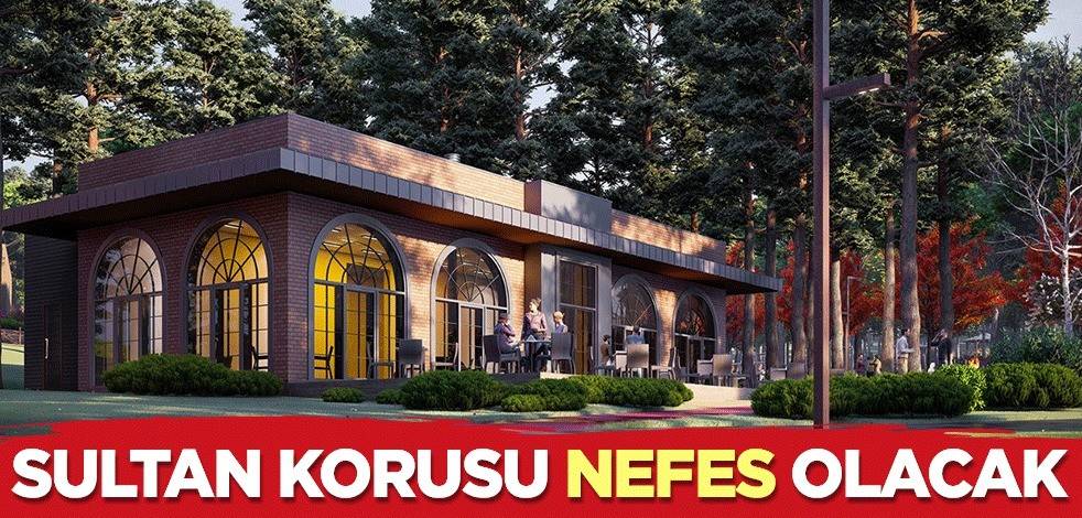 Sultan Korusu nefes olacak