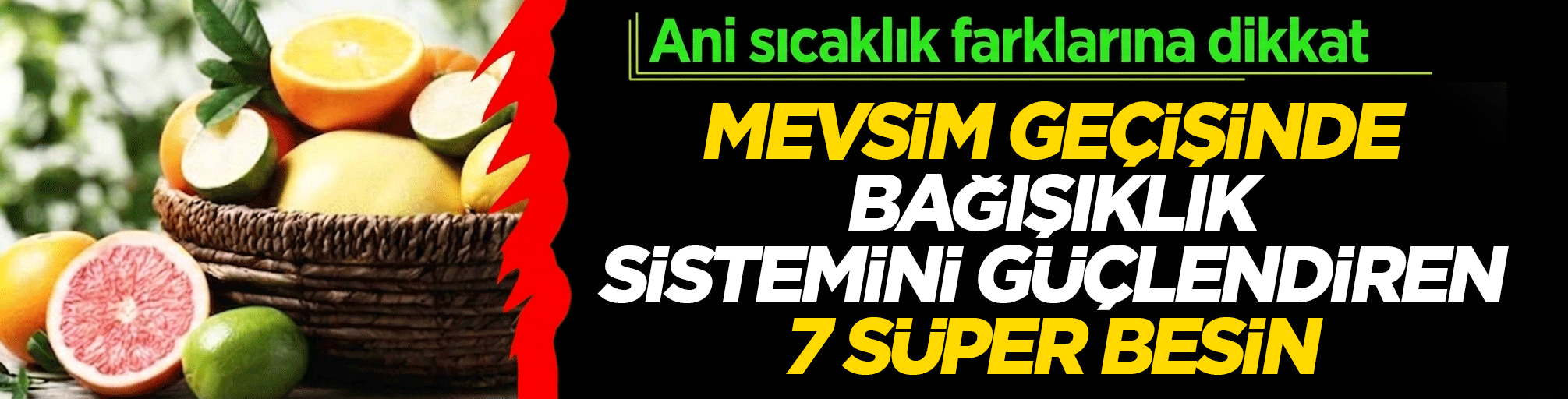 Süper gıda: Mevsim geçişinde bağışıklık sistemini güçlendiren 7 dost probiyotikler, fermente gıdalar!