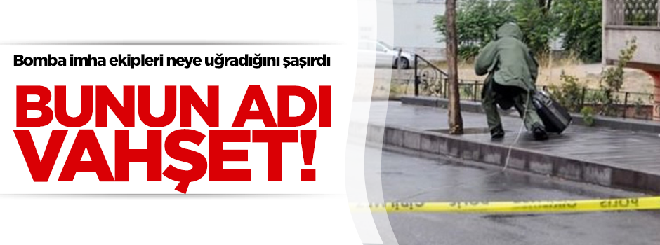 Şüphelenilen valizden parçalanmış kadın cesedi çıktı!