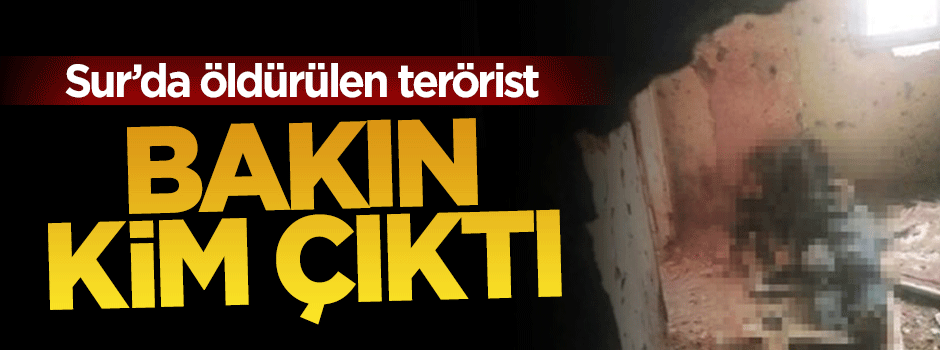 Sur'da öldürülen terörist Muhaberat ajanı çıktı