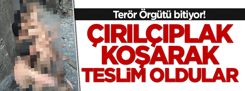 Sur'da teröristler koşarak teslim oldular