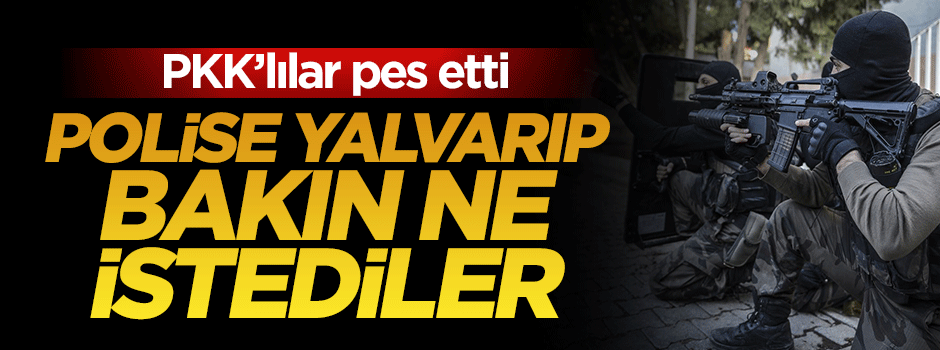 Sur'daki PKK'lılar pes etti