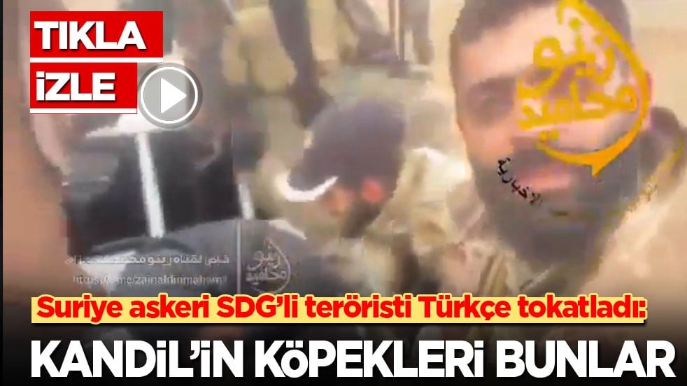 Suriye askeri teröristi Türkçe tokatladı: Kandil’in köpekleri bunlar!