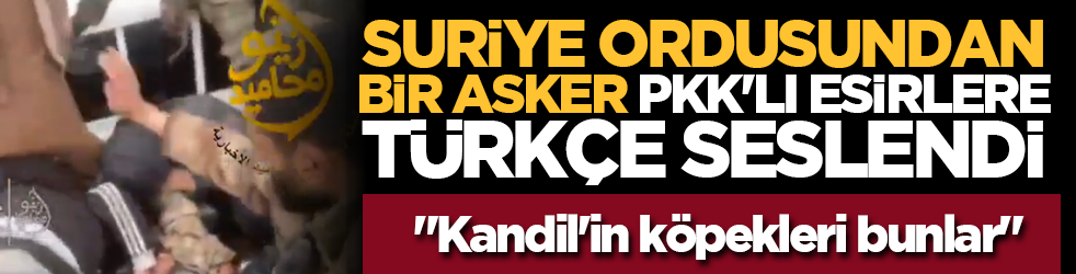 Suriye ordusundan bir asker, PKK'lı esirlere Türkçe seslendi: 