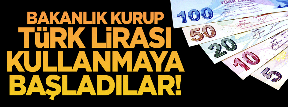 Suriyeli muhalifler bakanlık kurup, Türk Lirası kullanmaya başladı