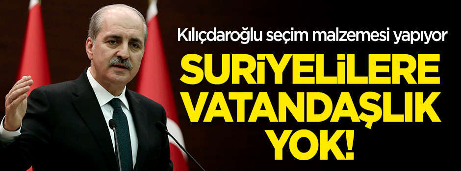 'Suriyelilere vatandaşlık yok'