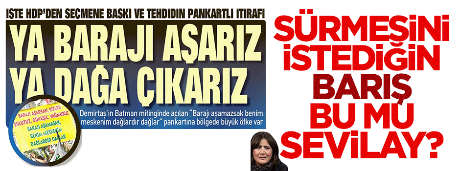 Sürmesini istediğin barış bu mu Sevilay?