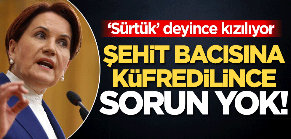 'Sürtük' deyince kızılıyor! Şehit bacısına küfredilince sorun yok..
