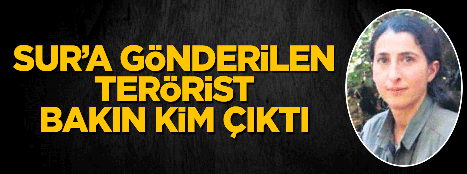 Sur'u gönderilen terörist bakın kim çıktı!