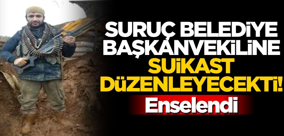 Suruç Belediye Başkanvekiline suikast hazırlığındaki terörist yakalandı